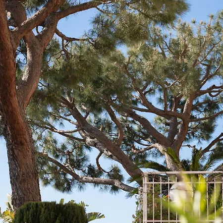 152 - Casa Incantata, Patio Vista Mare, Vicina - Parcheggio Gratis Nella Proprieta * Ospedaletti